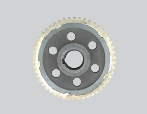 Worm Wheel
