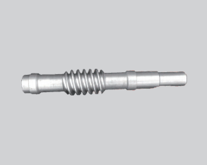 Worm Gear